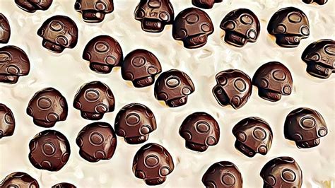 The Psilocybin Chocolate Revolution: Why Magic Mushroom Chocolates Are Taking the World by Storm